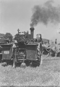 Firing Steam-thresher Engine