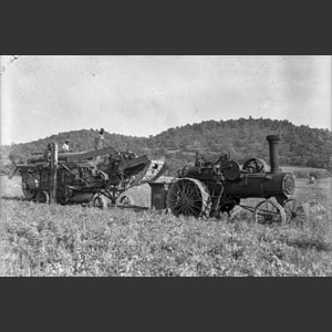 Wheat threshing - Morrells Rig
