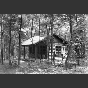 Log-cabin