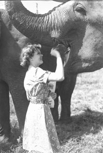 Girl feeding elephant pop-corn in mouth Wallace Bros Circus
