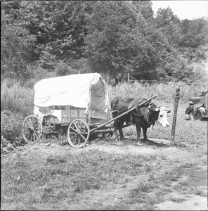 Old ox and cart - Cherokee N.C.
