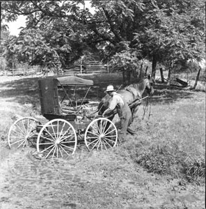 Horse and buggy at mud-hole